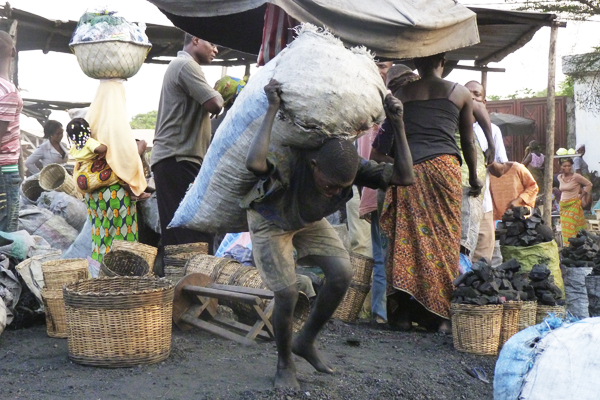 World day against child labor: the Ivory Coast example